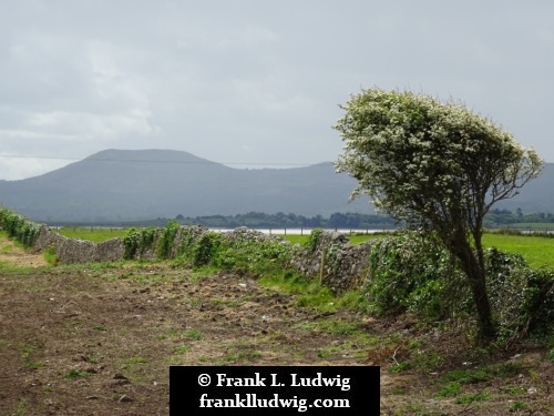 Culleenamore, County Sligo